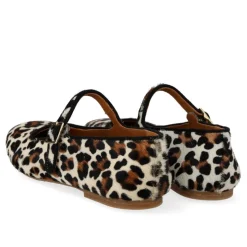 Angulus 1704-101< Ballerinaer