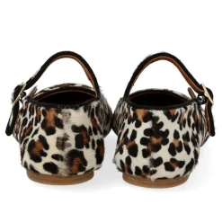 Angulus 1704-101< Ballerinaer