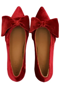 1550-107 1550-107*Angulus New