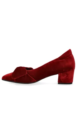 1550-107 1550-107*Angulus New