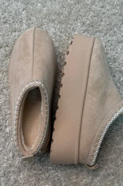 Acacia Slipper*Bloom