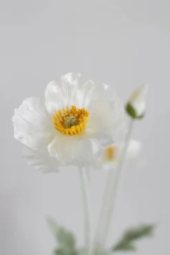 Artificial Poppy 02-132*Bloom Objects Sale