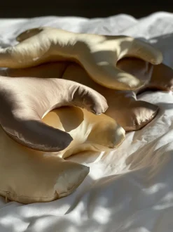 Betræk til La Petite 100% silke Gold*Save My Face Discount