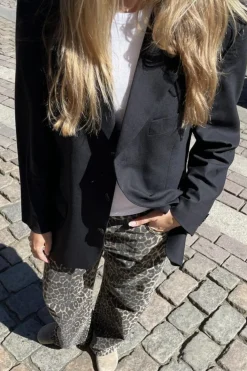 Cadian-G*Global Funk Online