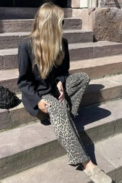 Cadian-G*Global Funk Online