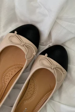 Carlotta Ballerinaer*Bloom Best