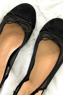 Eleanor Ballerinaer*Bloom Best