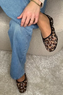 Freesia -SQ*Bloom Clearance