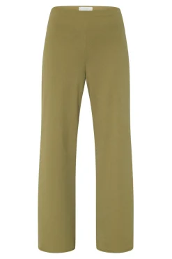 Glut-Pa.A 10087*Sisters Point Hot