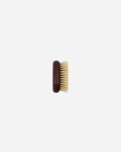 Ionic body brush*Meraki Online