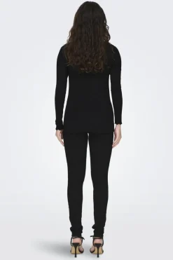 fransiska Life L/S Hi-Nck Top Jr*JDY Best