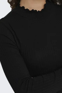 fransiska Life L/S Hi-Nck Top Jr*JDY Best