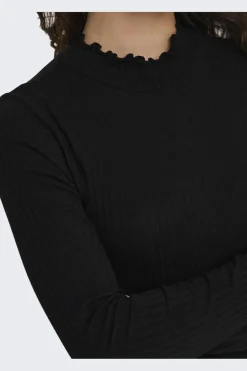 fransiska Life L/S Hi-Nck Top Jr*JDY Best