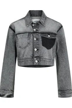 Jjxx Jxfiona Regular Denim Jacket< Overtøj & Jakker|Ammevenligt Tøj