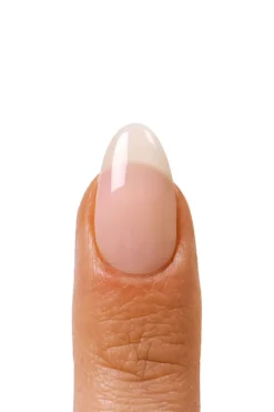 Multi PBG004*Le Mini Macaron