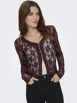 Only Onlalba L/S V-Neck Lace Top< Bluser & Skjorter