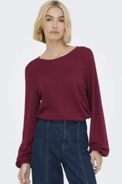 Only Onlbelle Life L/S Top< T-Shirts & Toppe