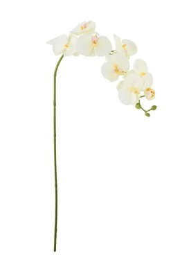 Bloomingville Orchid Stilk, Hvid, Kunstige Blomster 82072093< Dekoration Til Hjemmet