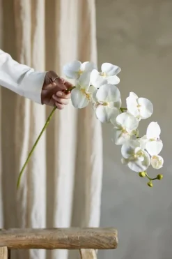 Bloomingville Orchid Stilk, Hvid, Kunstige Blomster 82072093< Dekoration Til Hjemmet