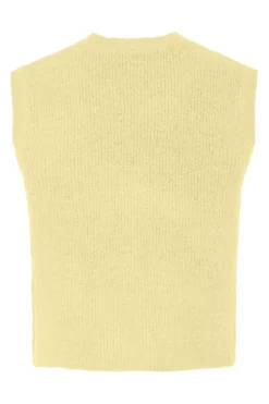 Pieces Pcsilly Sl V-Neck Knit Vest< Veste