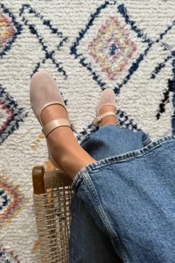 Bloom Primula Ballerina< Bloom|Ballerinaer