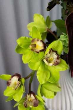 Bloom Objects Sculpted Flora Bouquet 02-477< Dekoration Til Hjemmet