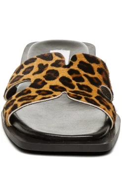 Sofia-L SM11003524*Steve Madden Hot