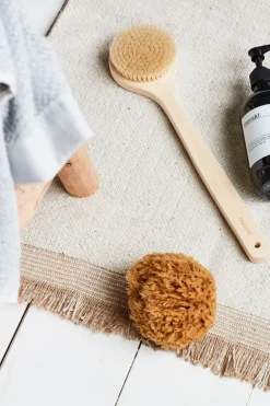 Sponge Bahamas*Meraki Online