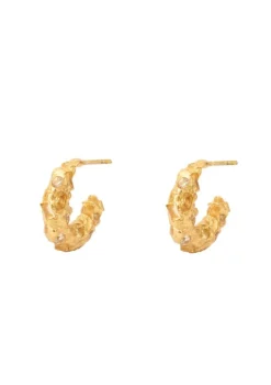 House Of Vincent Trinket Hoop Earrings VJ194-UEG-Y< Øreringe