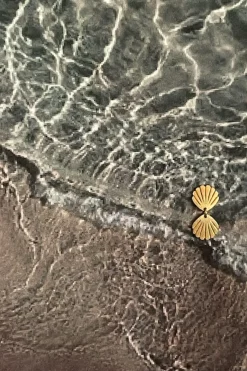 Stine A Two Petit Shell Earring< Øreringe